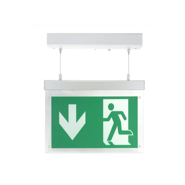 Lampada Emergenza 2W 16 led SMD montaggio a sospensione luce fredda 6000K V-Tac 8100 - immagine 1
