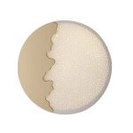 Plafoniera LED Chic corpo oro  30W 1550lm 4000K - Luce Ambiente Design