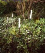 Paletto LED da giardino WAX in alluminio 3W 3000K 363lm IP65  finitura antracite picchetto incluso - Intec - immagine 2