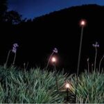 Paletto LED in alluminio dotato di picchetto per esterni 0,5W Gea Luce